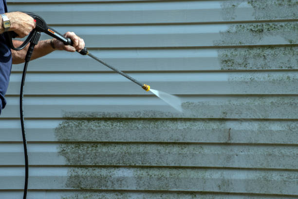 Best Affordable Pressure Washing  in White Cloud, MI